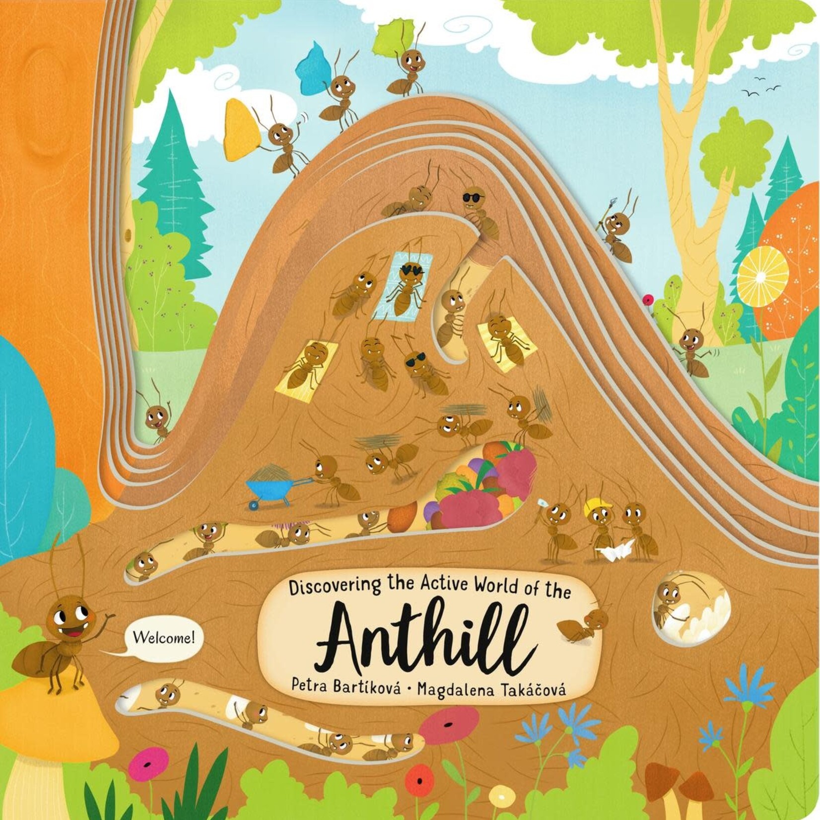 Discovering the Active World of the Anthill