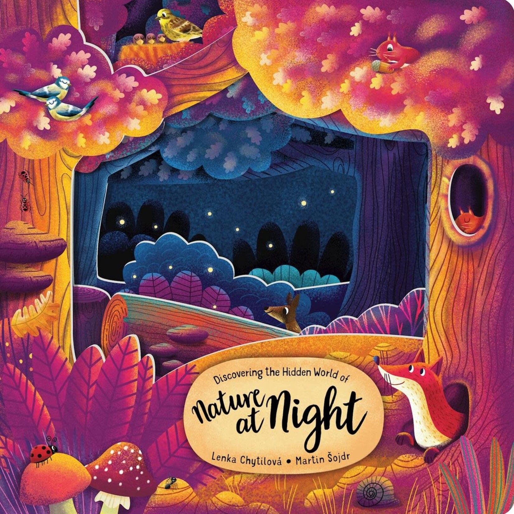 Discovering the Hidden World of Nature at Night Book