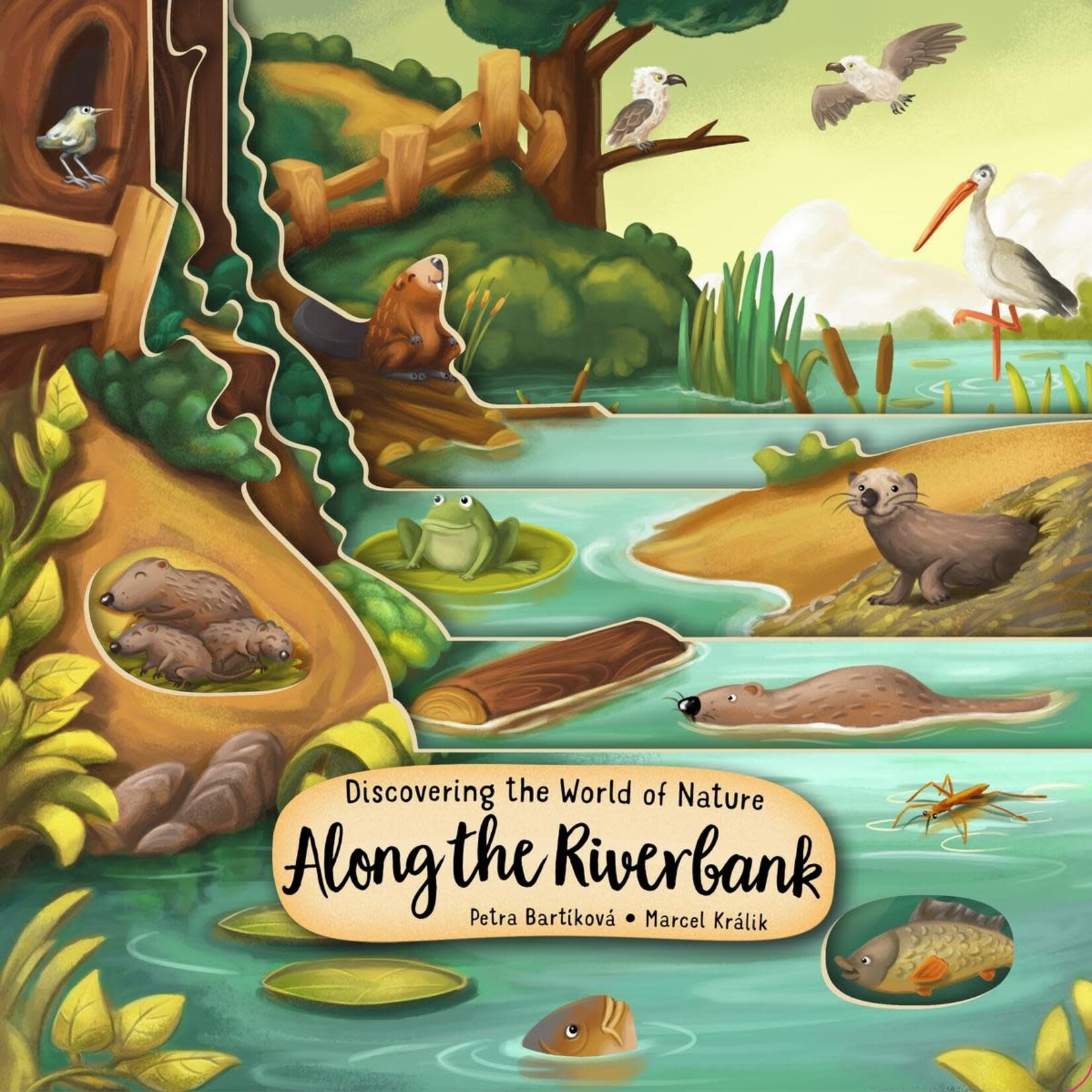 Discovering the World of Nature Along the Riverbank Book