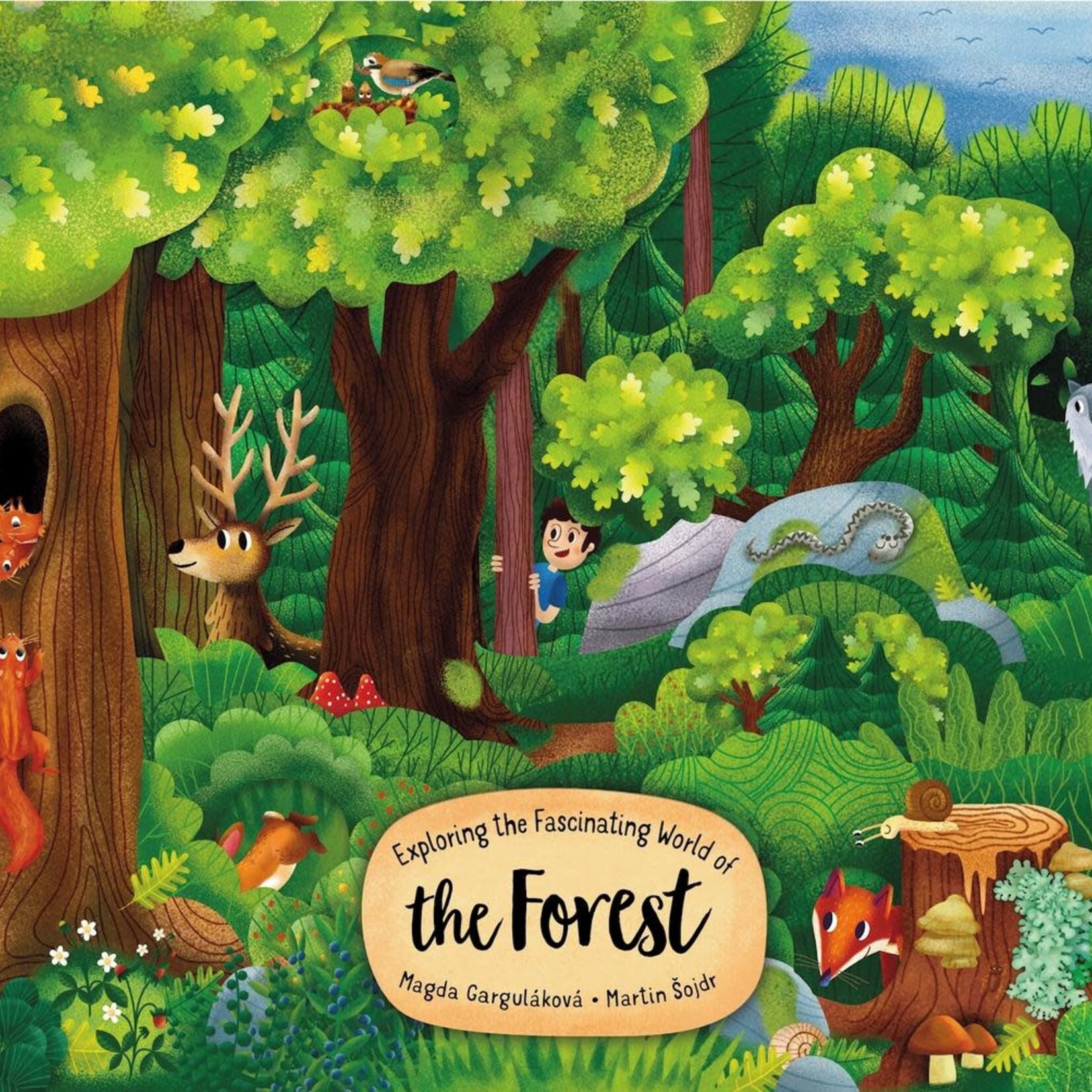 Exploring the Fascinating World of the Forest