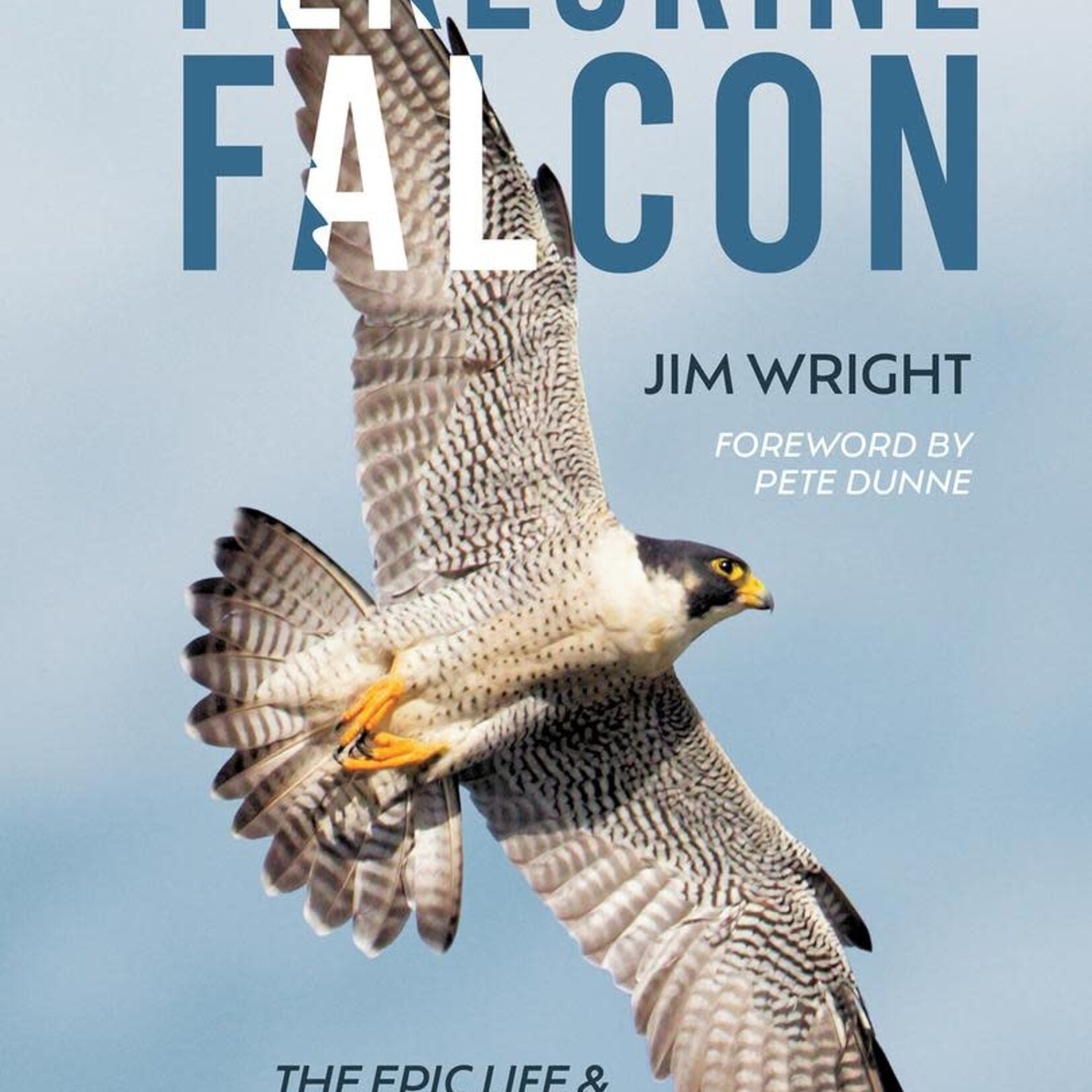 The Peregrine Falcon: The Epic Life and Times of the World’s Fastest Creature By:Jim Wright