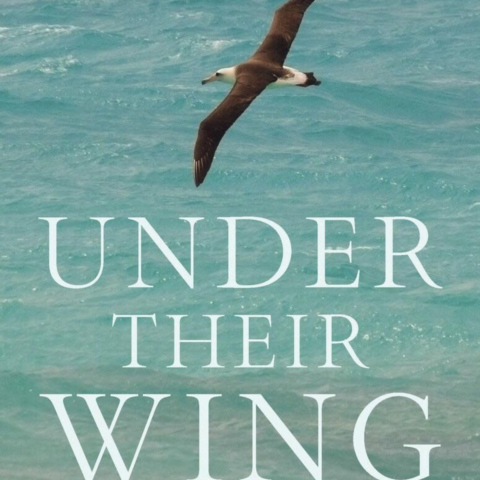 Under Their Wing: How Birds Shape the Human Experience