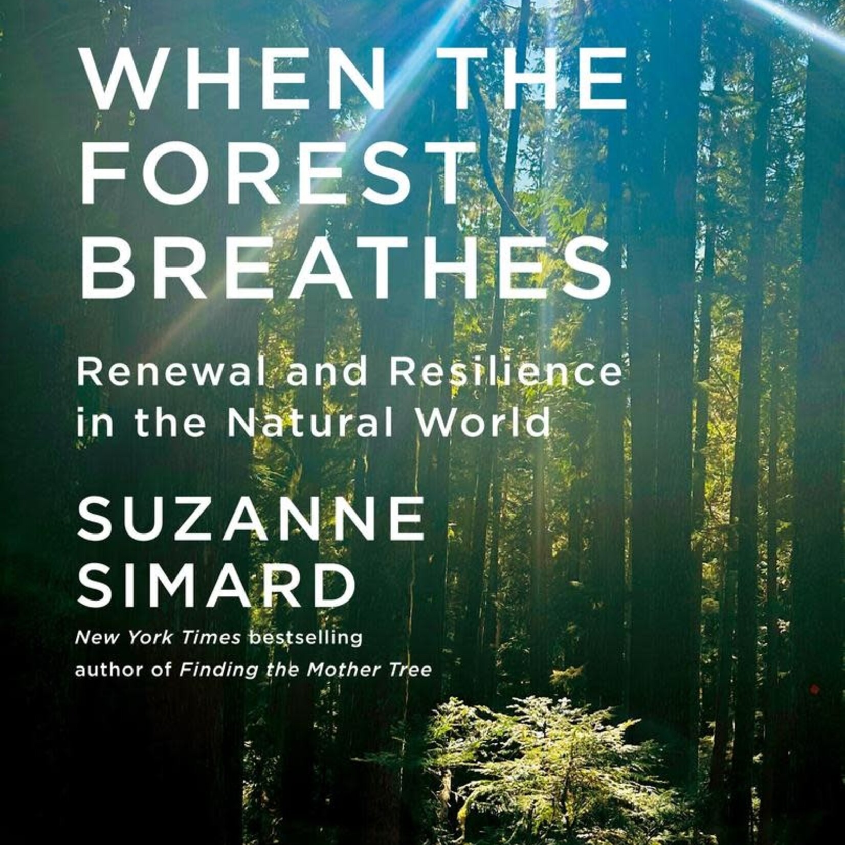 When the Forest Breathes: Renewal and Resilience in the Natural World