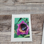 Debbie Anderson Photography Greeting Card - Snuggle In