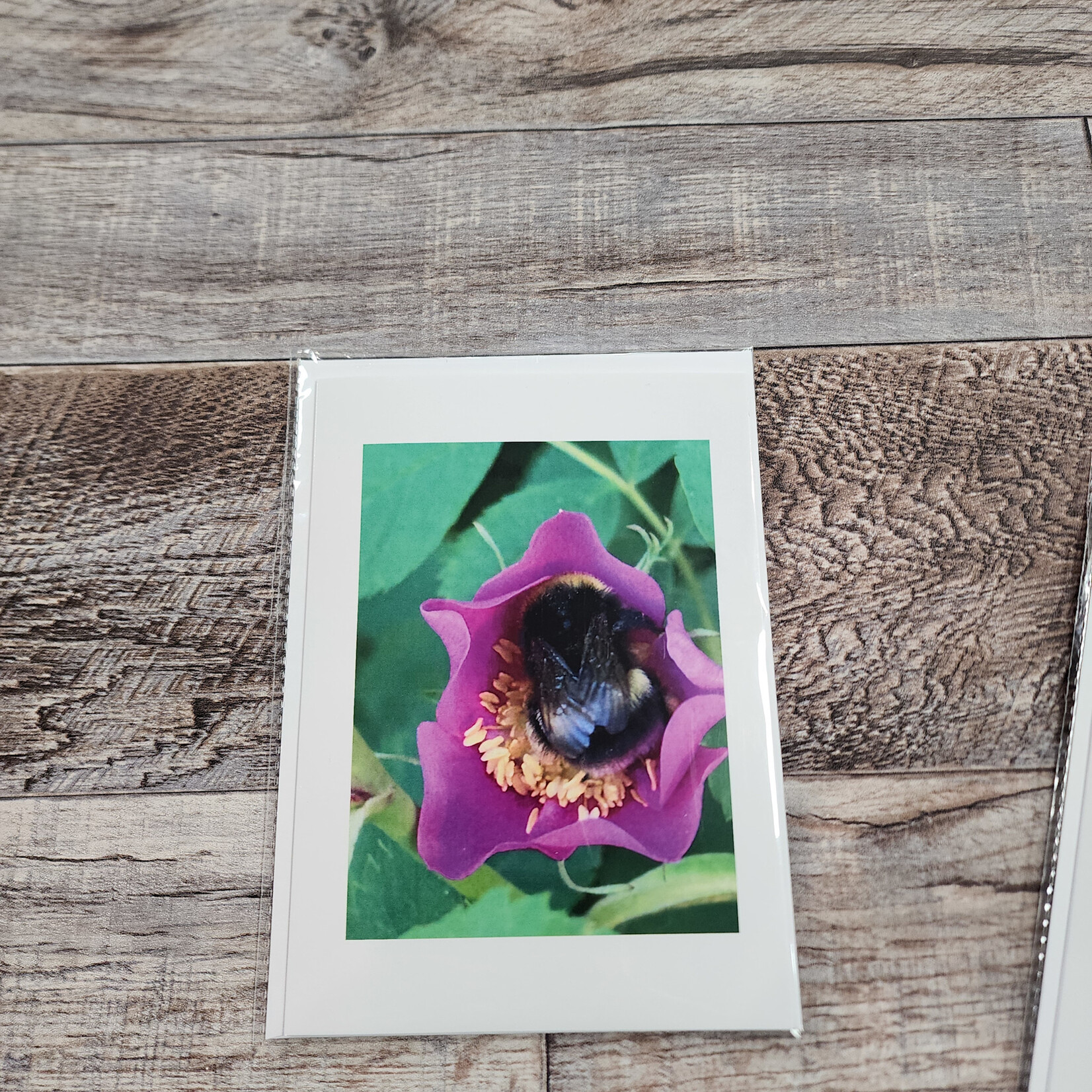 Debbie Anderson Photography Greeting Card - Snuggle In