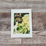 Debbie Anderson Photography Greeting Card - Honeybee Landing