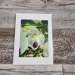 Debbie Anderson Photography Greeting Card - Sleeping Beauty