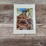 Debbie Anderson Photography Greeting Card - Look Up... Waaay Up