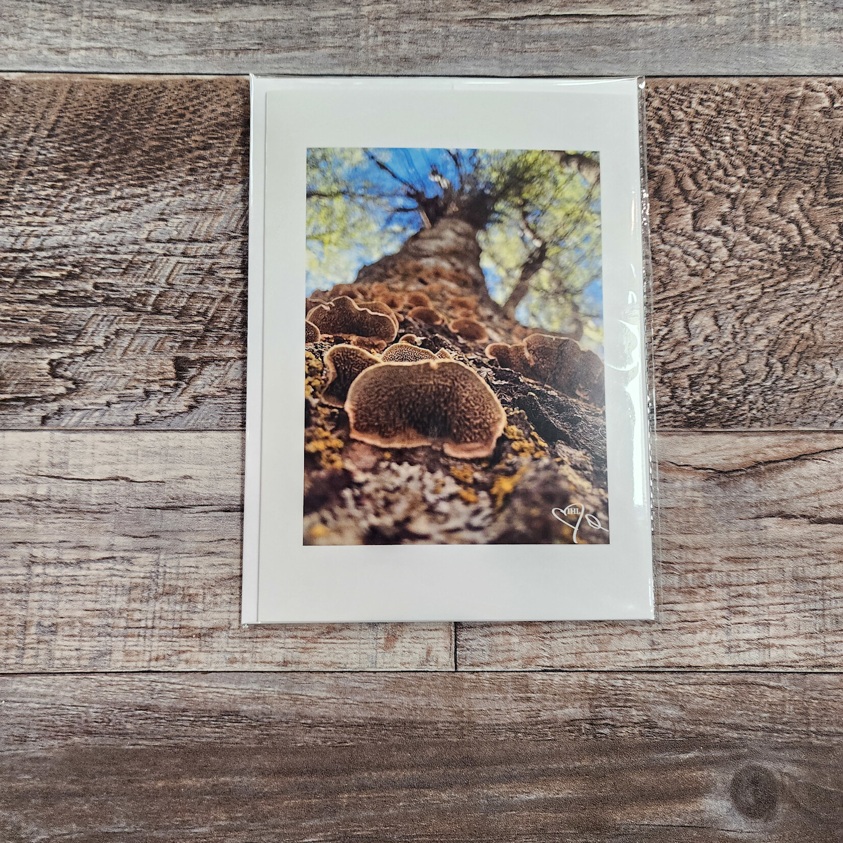 Debbie Anderson Photography Greeting Card - Look Up... Waaay Up