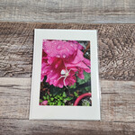 Debbie Anderson Photography Greeting Card - Pinky Spider