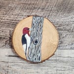 Wood Cookie Painting - Red-Headed Woodpecker
