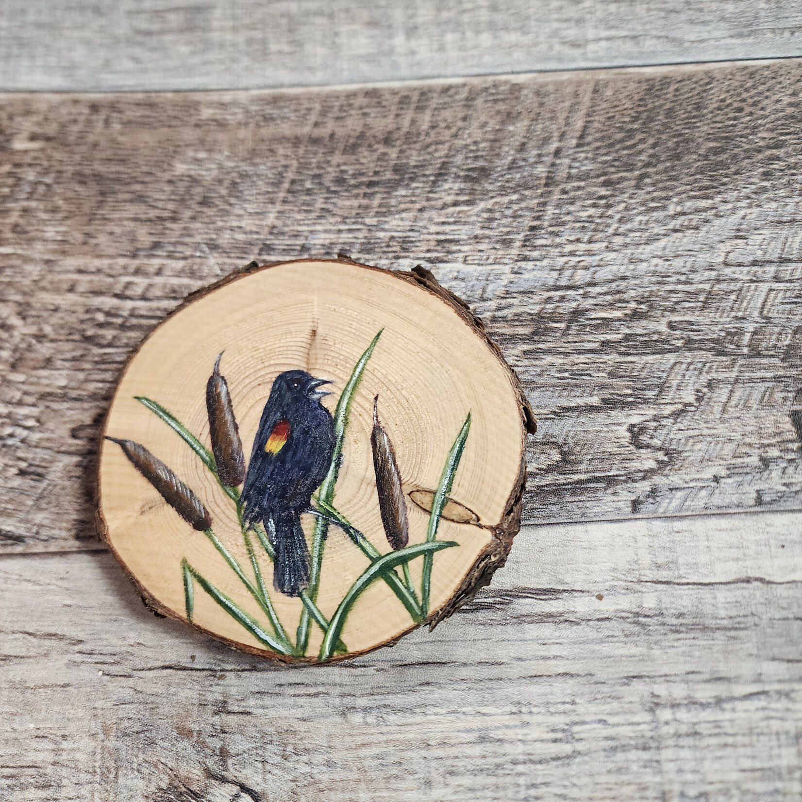 Wood Cookie Painting - Red-Winged Blackbird