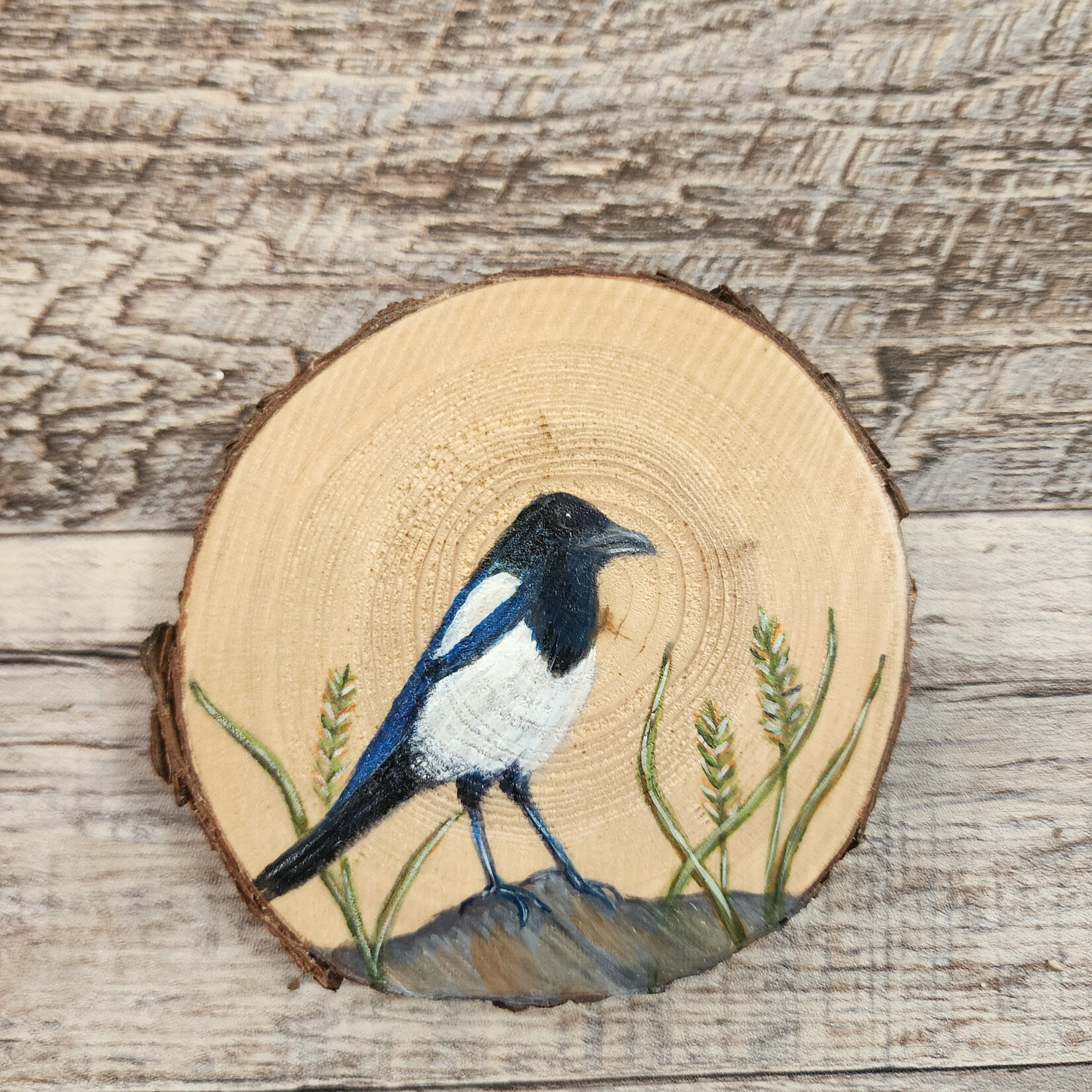 Wood Cookie Painting - Magpie