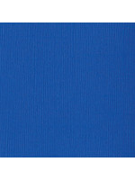 AMERICAN CRAFTS/BAZZILL BASICS 12x12 Bazzill cardstock Bazzill Blue