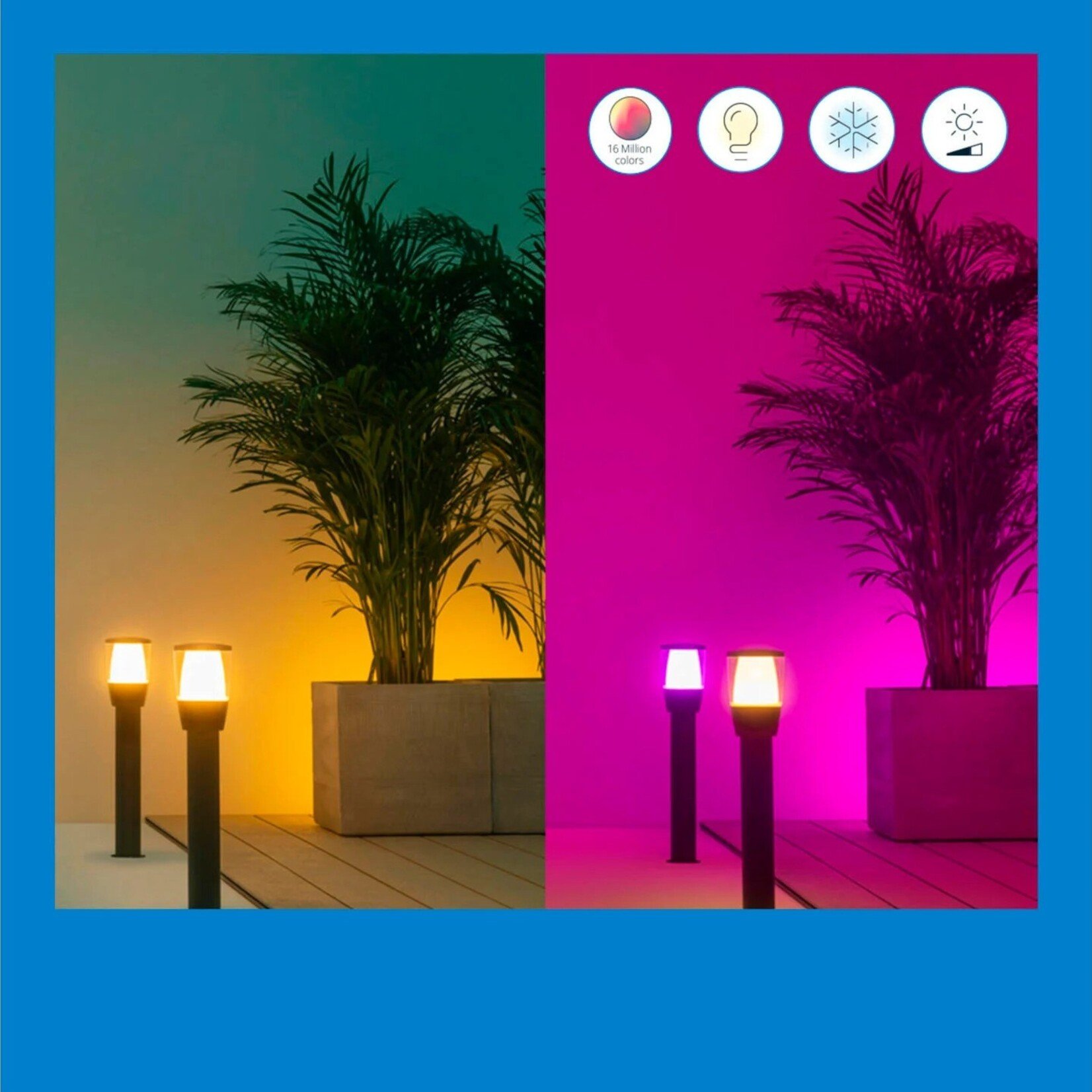 Smart Outdoor LED