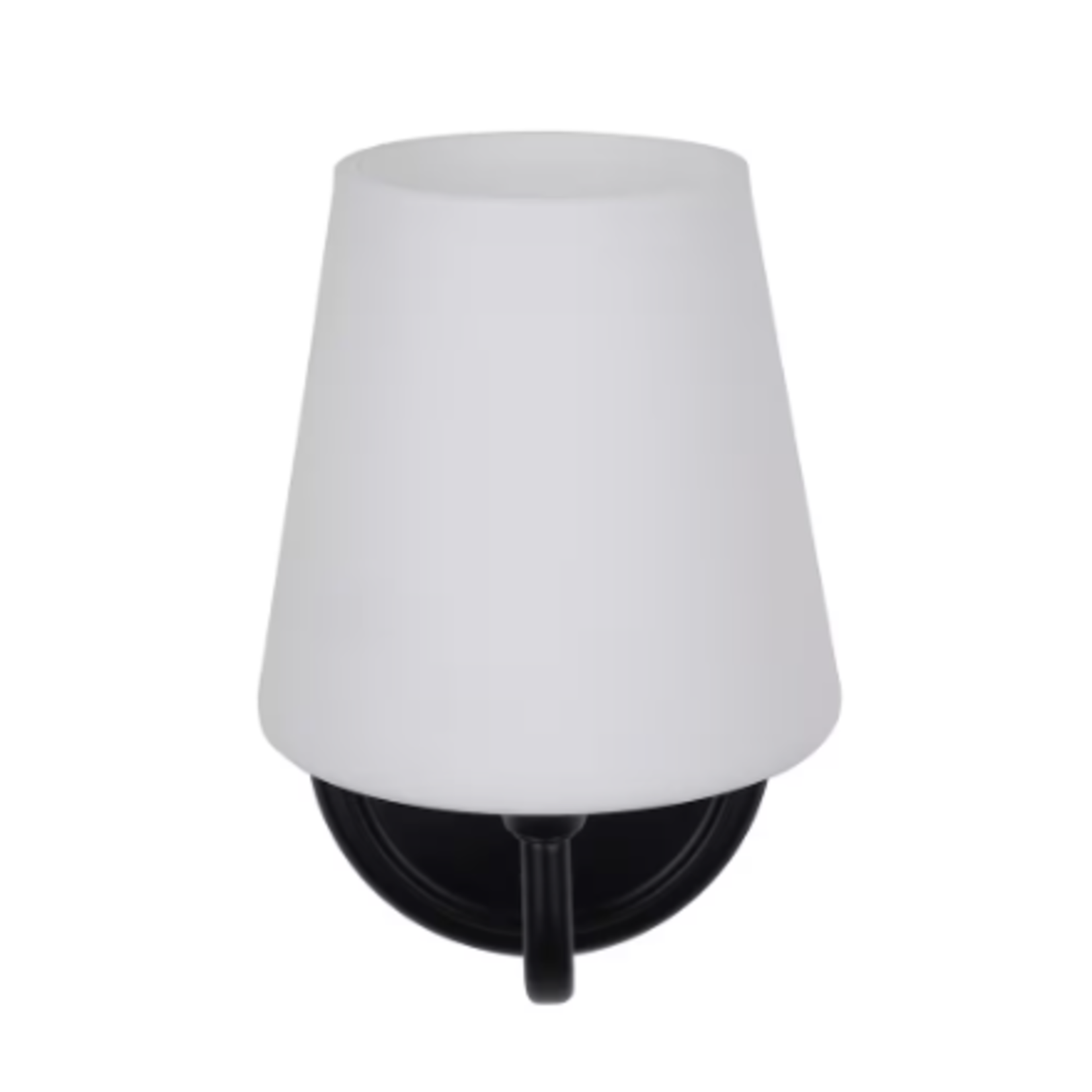 Black 1-Light Vanity Fixture