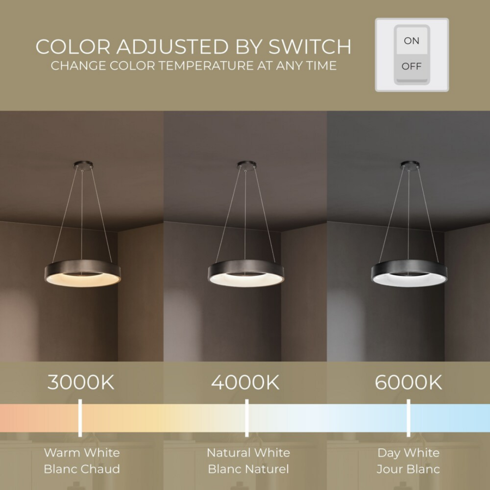 LED Circular Pendant Light