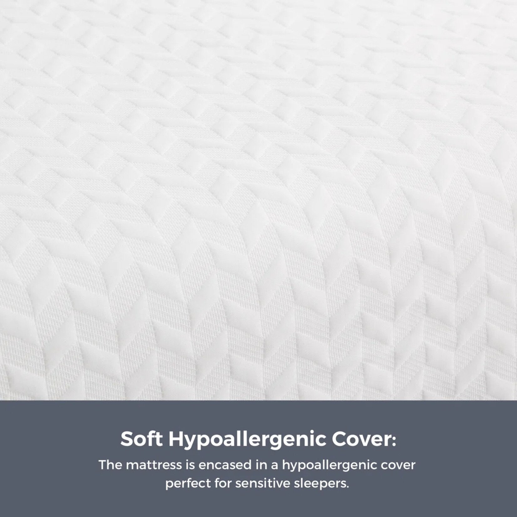 WayFair Canada 14" Plush Memory Foam Twin Mattress