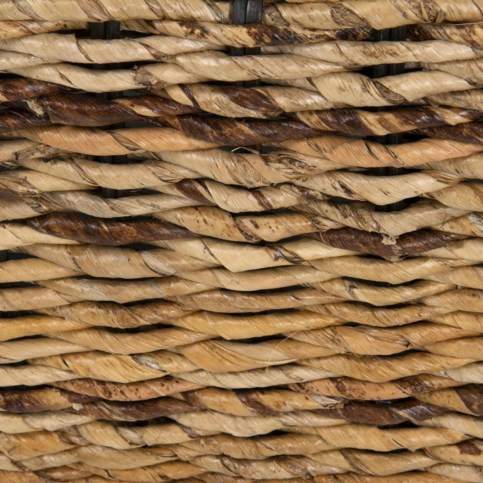 WayFair Canada Calne Upholstered Wicker Bench