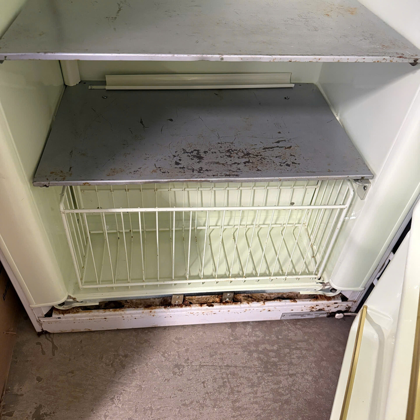 Vintage Refrigerator