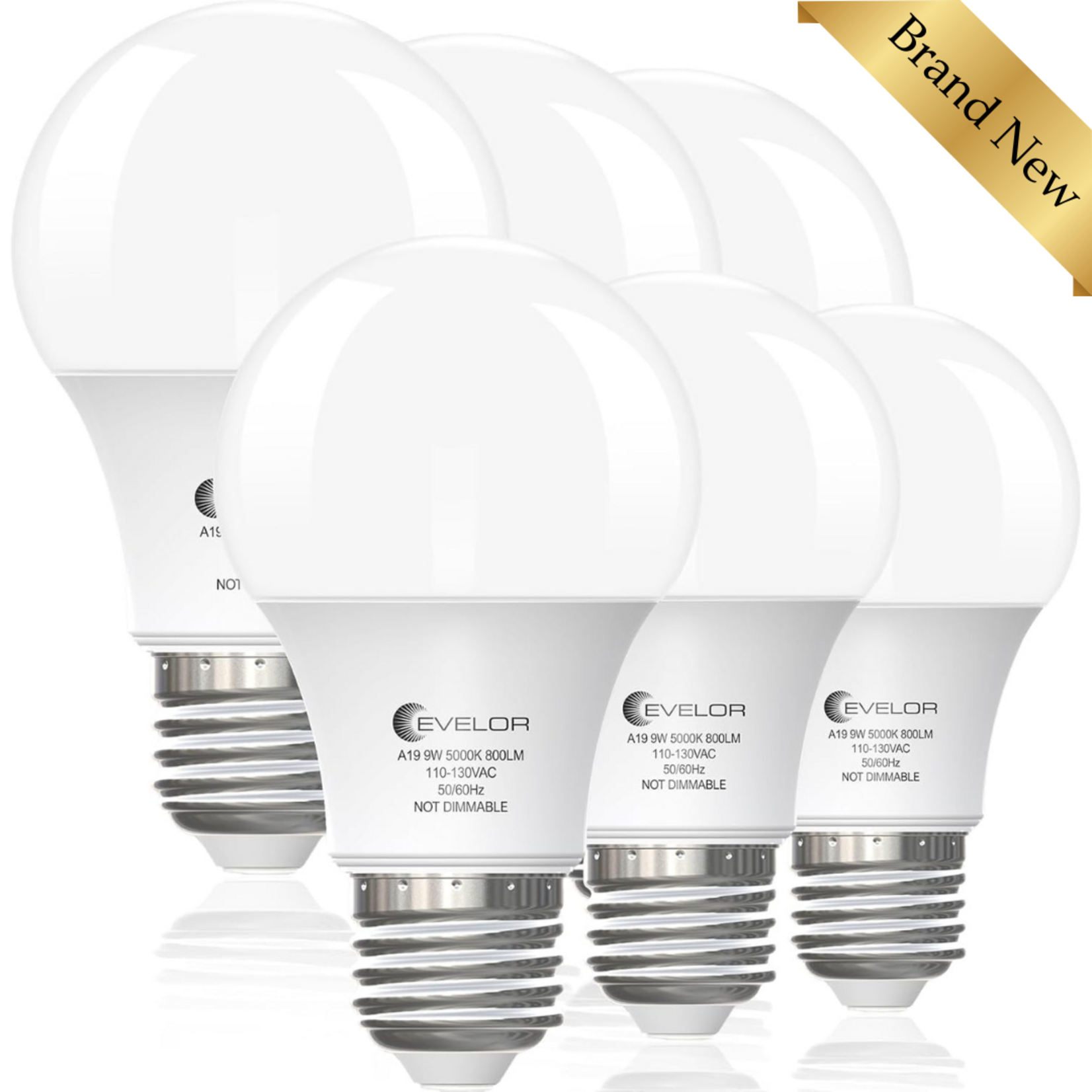 Evelor A19 LED Light Bulbs 6Pcs
