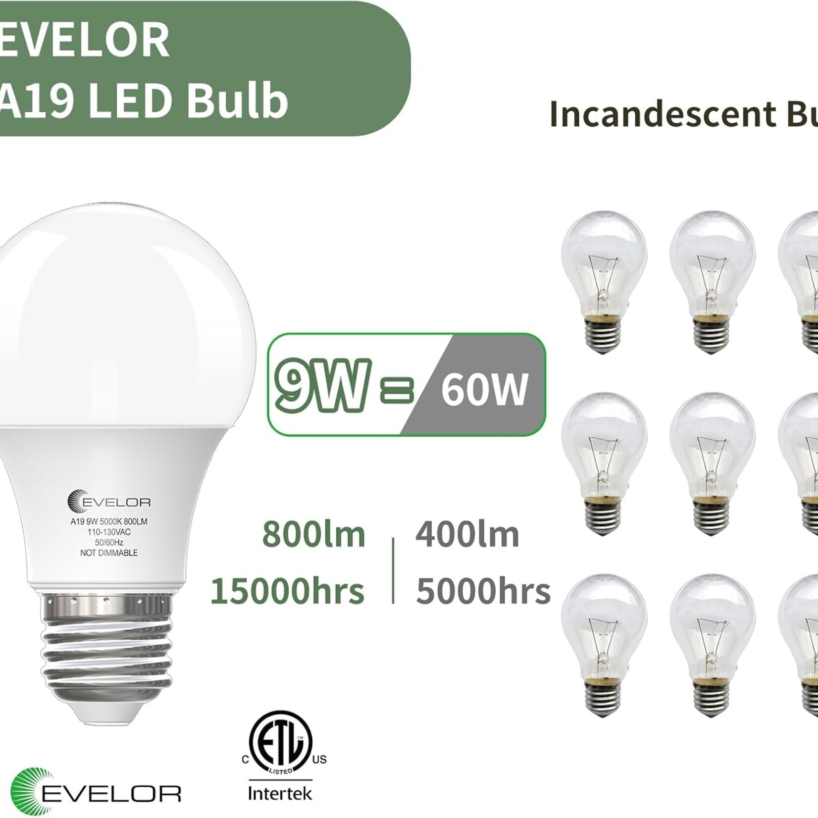 Evelor A19 LED Light Bulbs 6Pcs