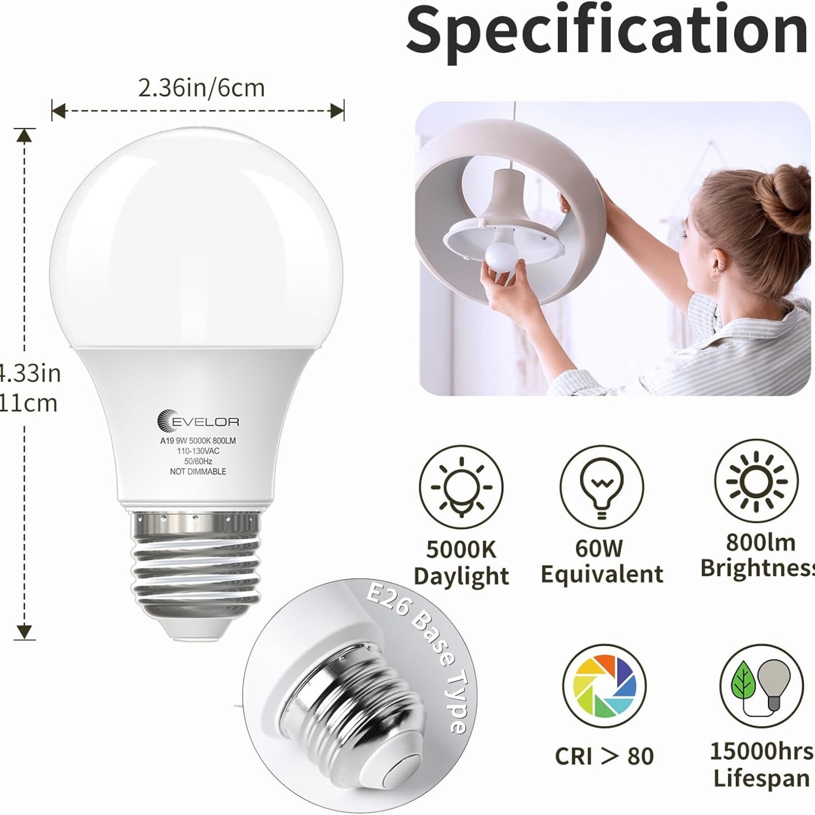 Evelor A19 LED Light Bulbs 6Pcs