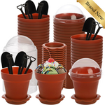 Dessert Cups w Lids & Spoons 50pcs