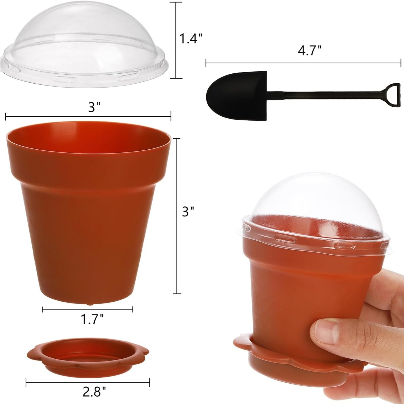 Dessert Cups w Lids & Spoons 50pcs