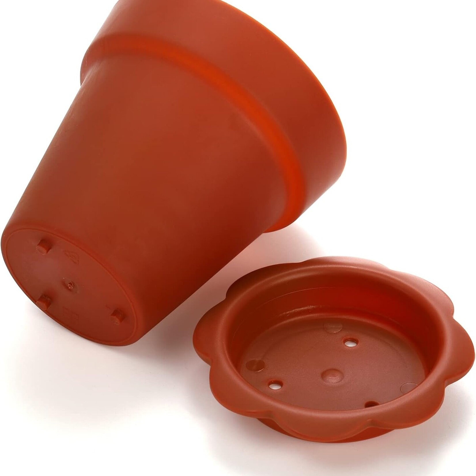 Dessert Cups w Lids & Spoons 50pcs