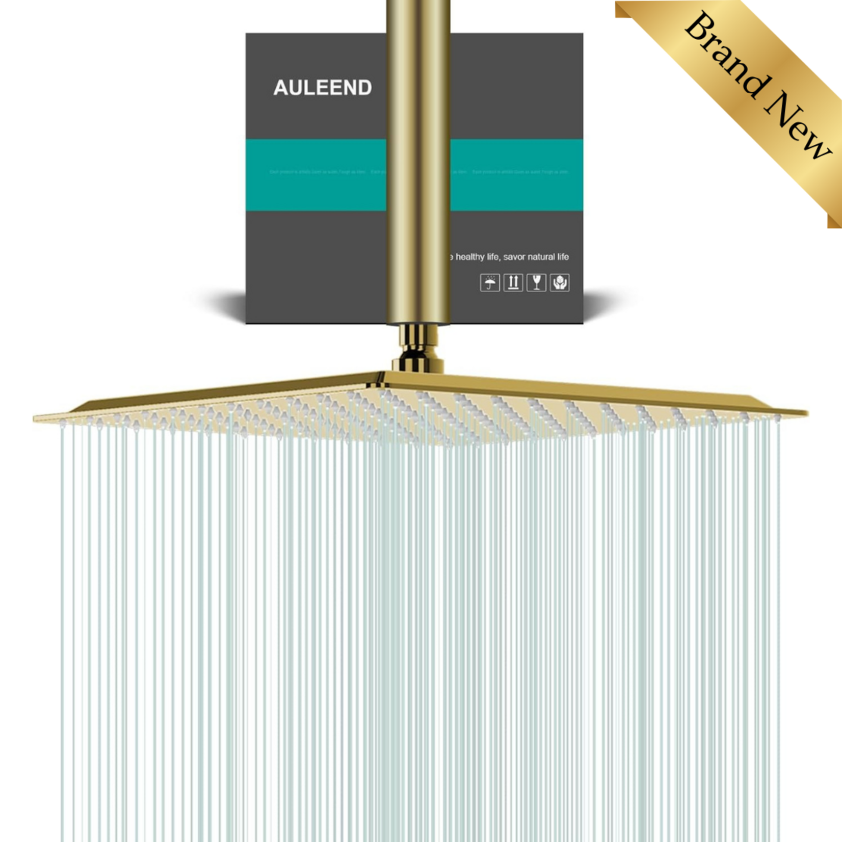 Square Shower Head Brushed Gold 12"
