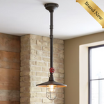 Home 1 Light Pendant Light
