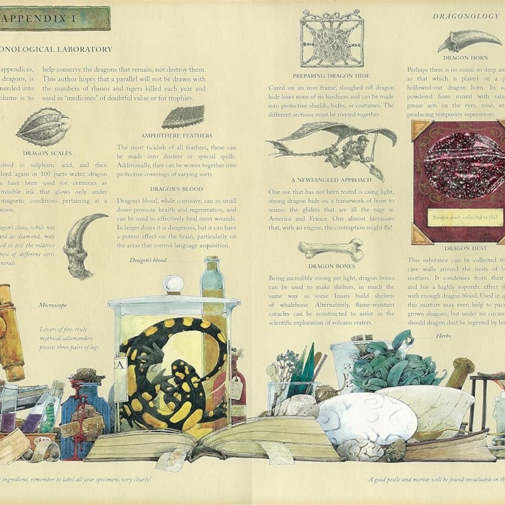Book "Dragonology"