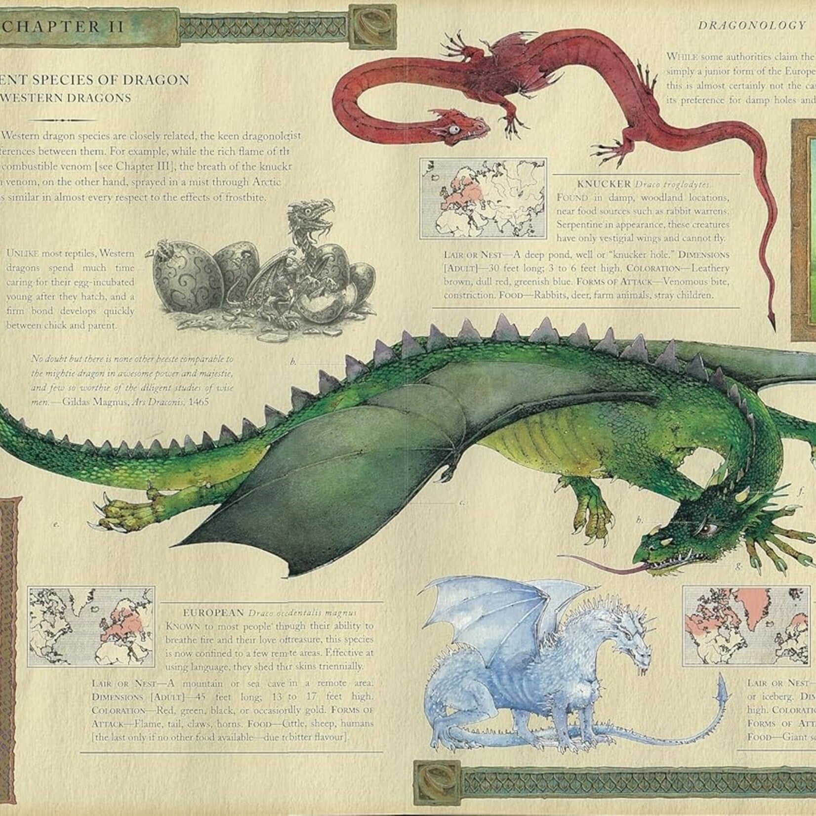 Book "Dragonology"