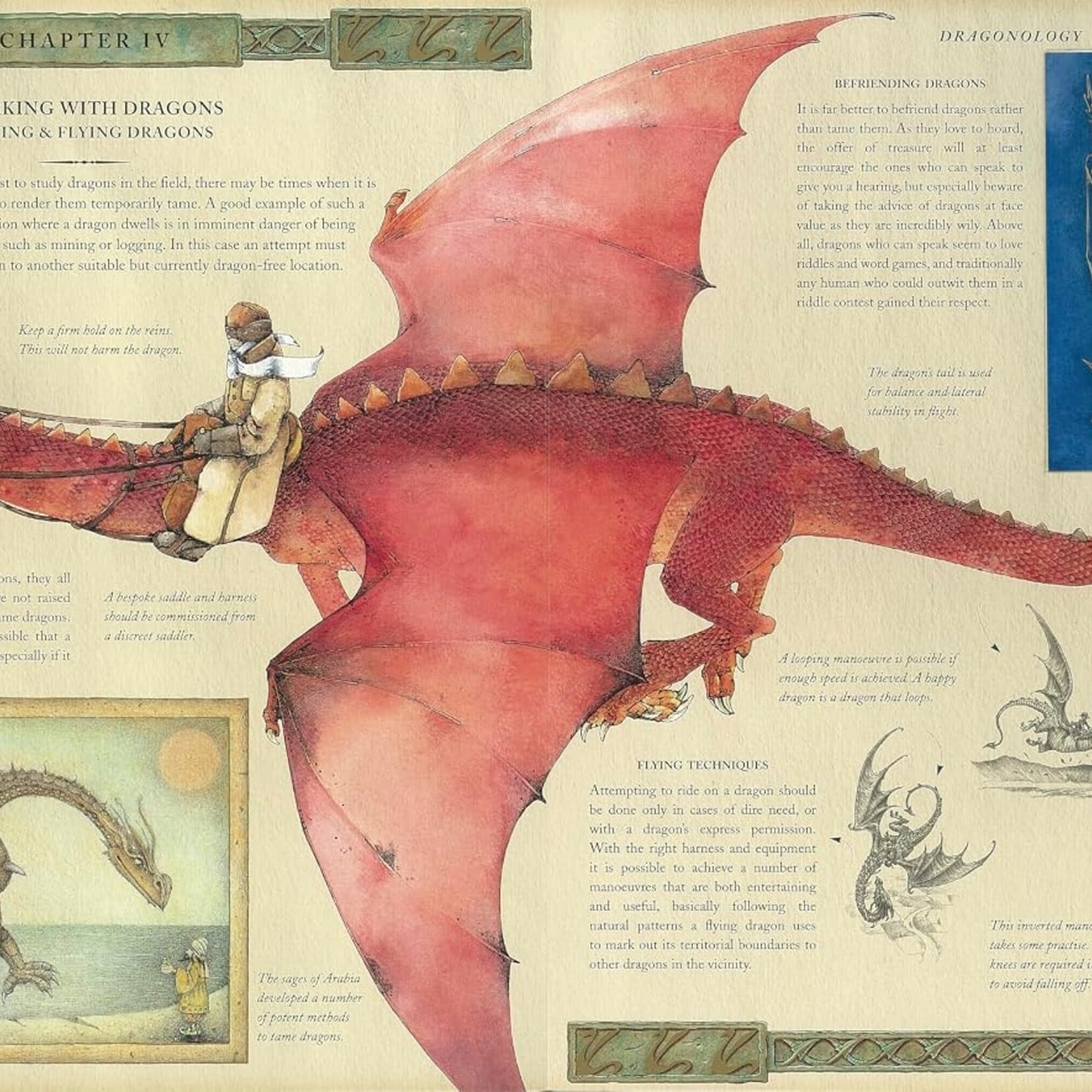 Book "Dragonology"