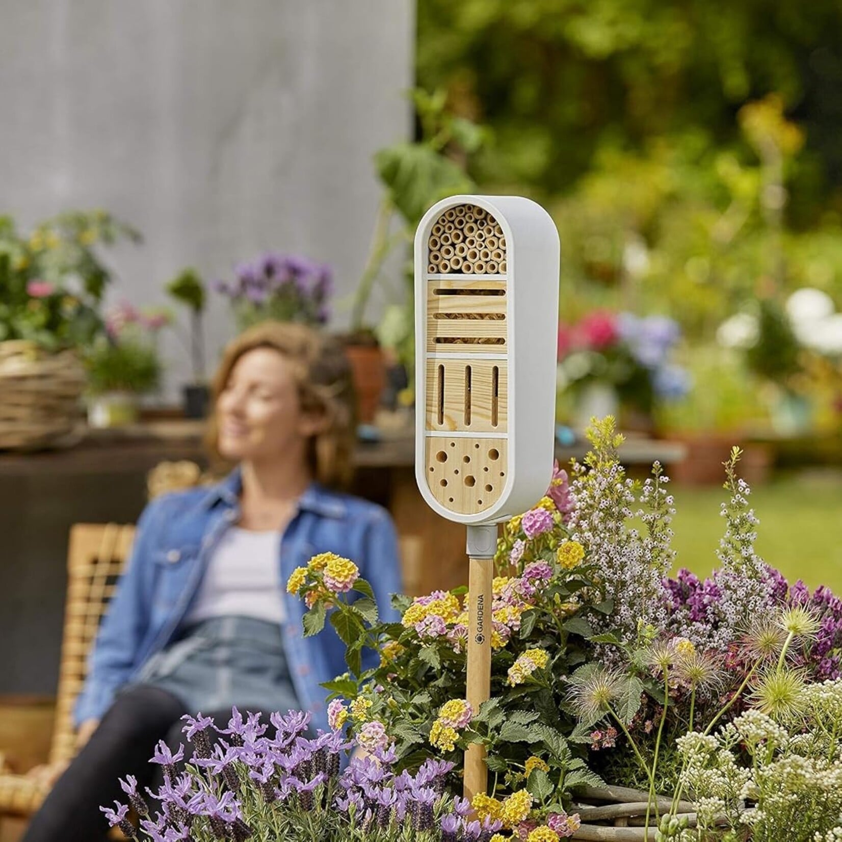 Click Up All Year Feeder