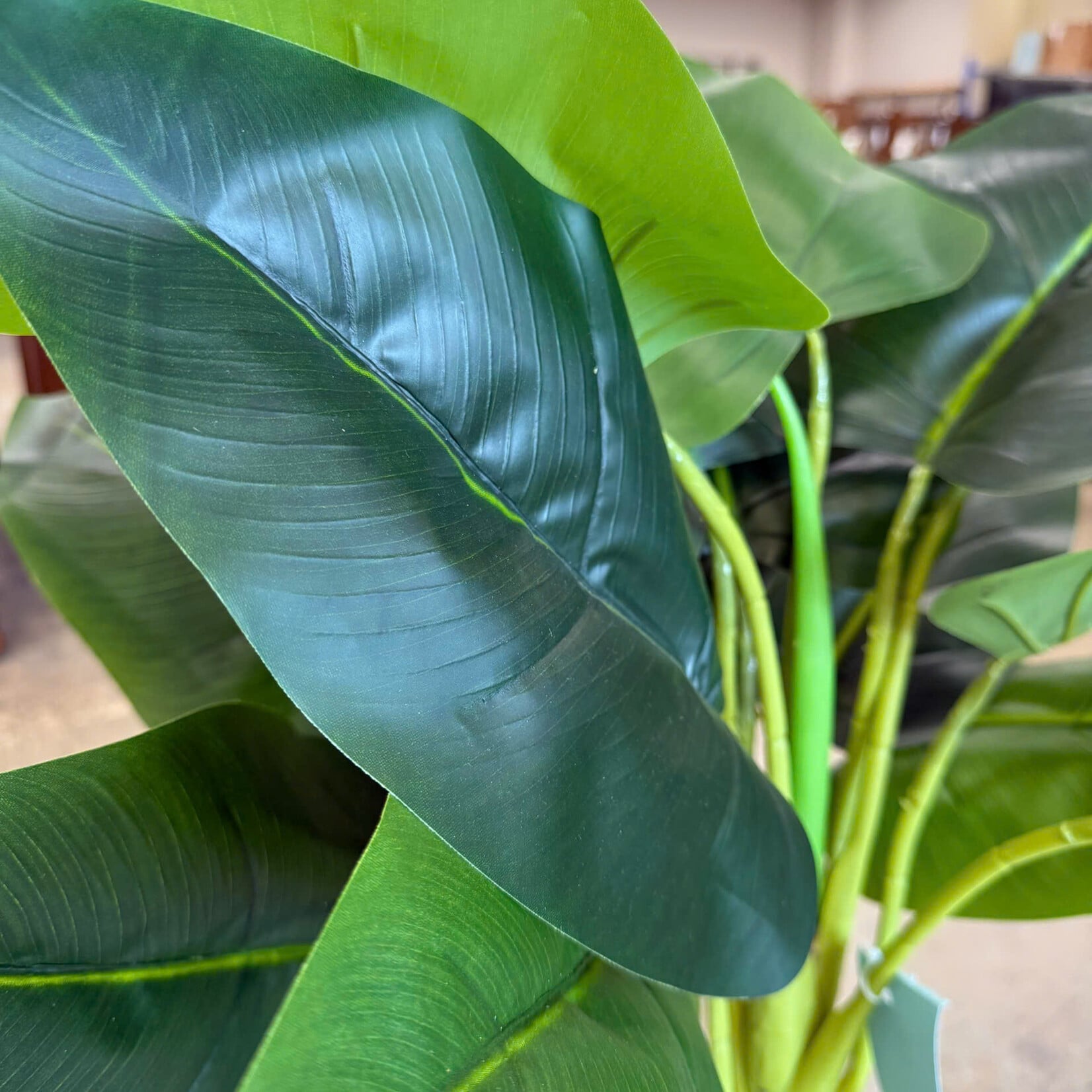 Faux Areca Palm