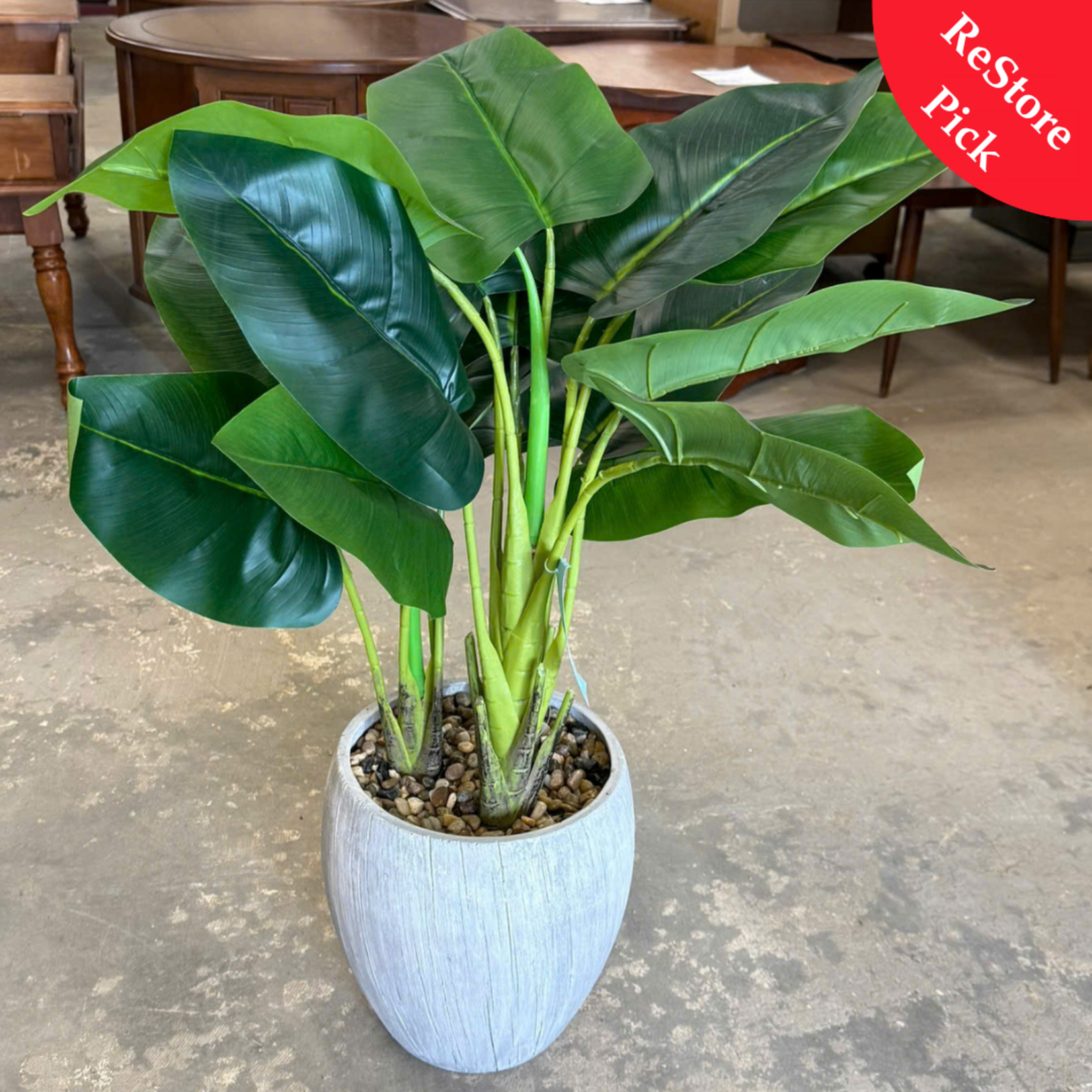 Faux Areca Palm