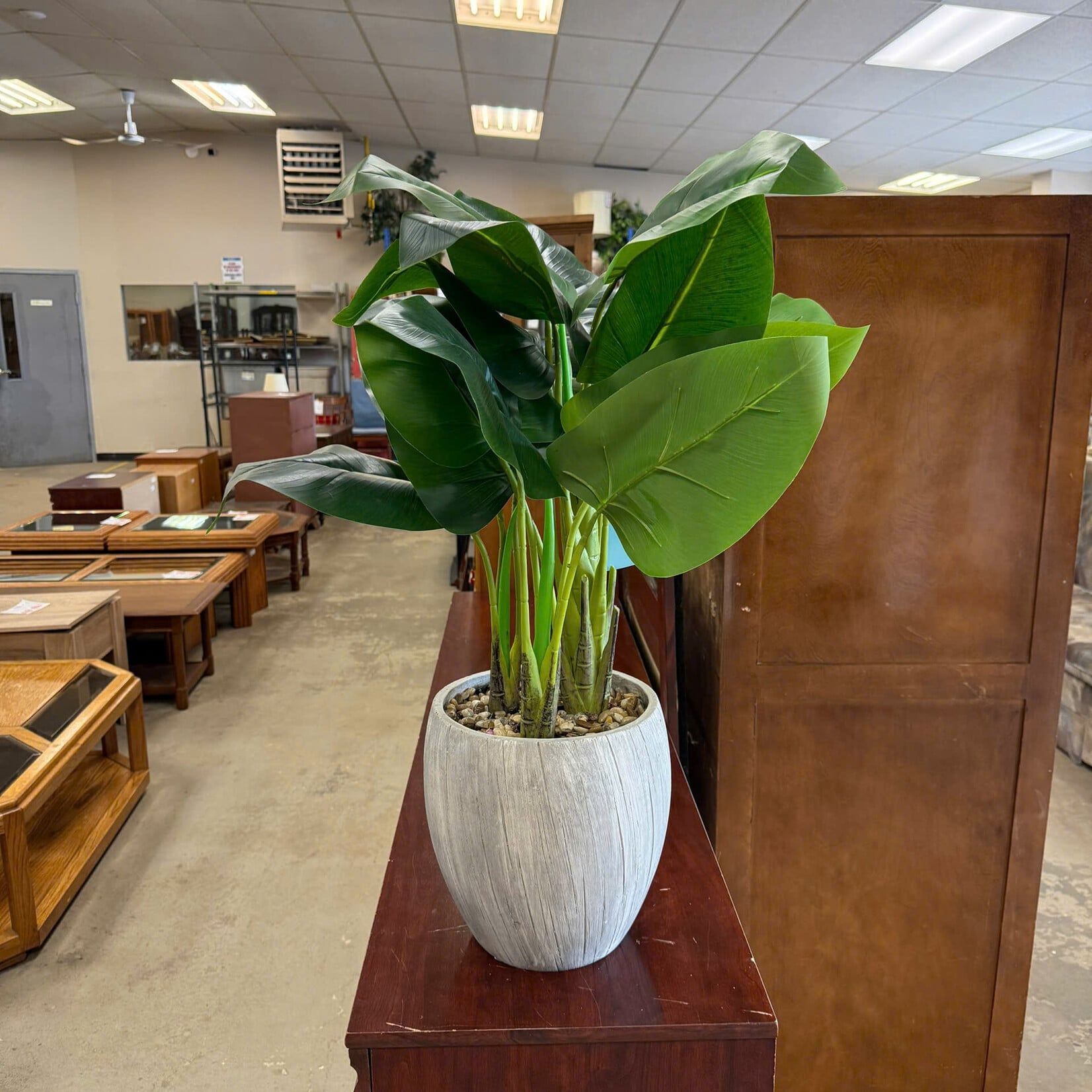 Faux Areca Palm
