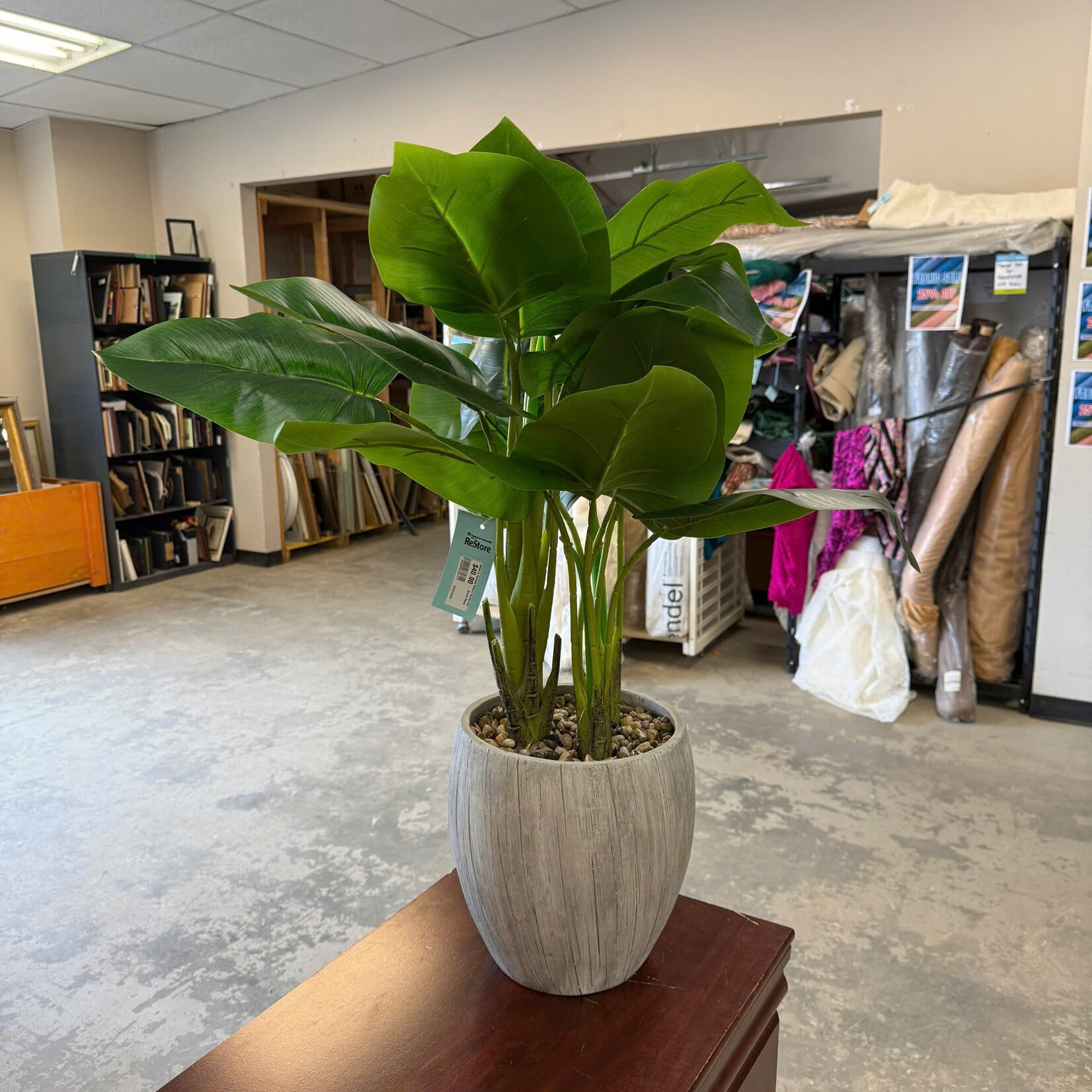 Faux Areca Palm