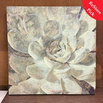 Green Succulent Art