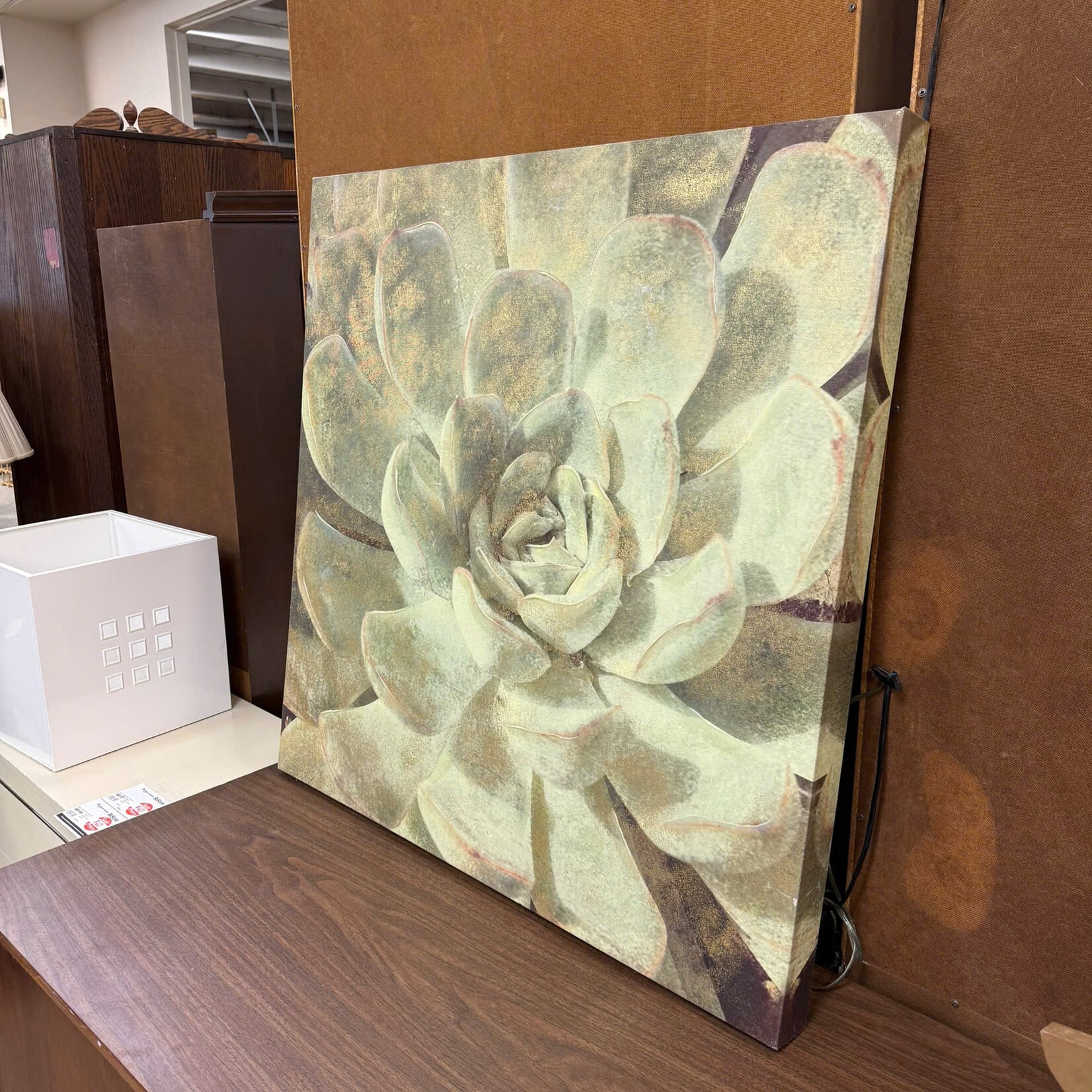 Green Succulent Art