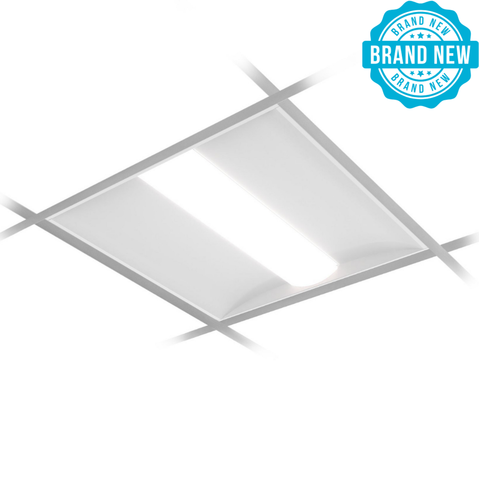 Day-Brite  FGX Ceiling Light