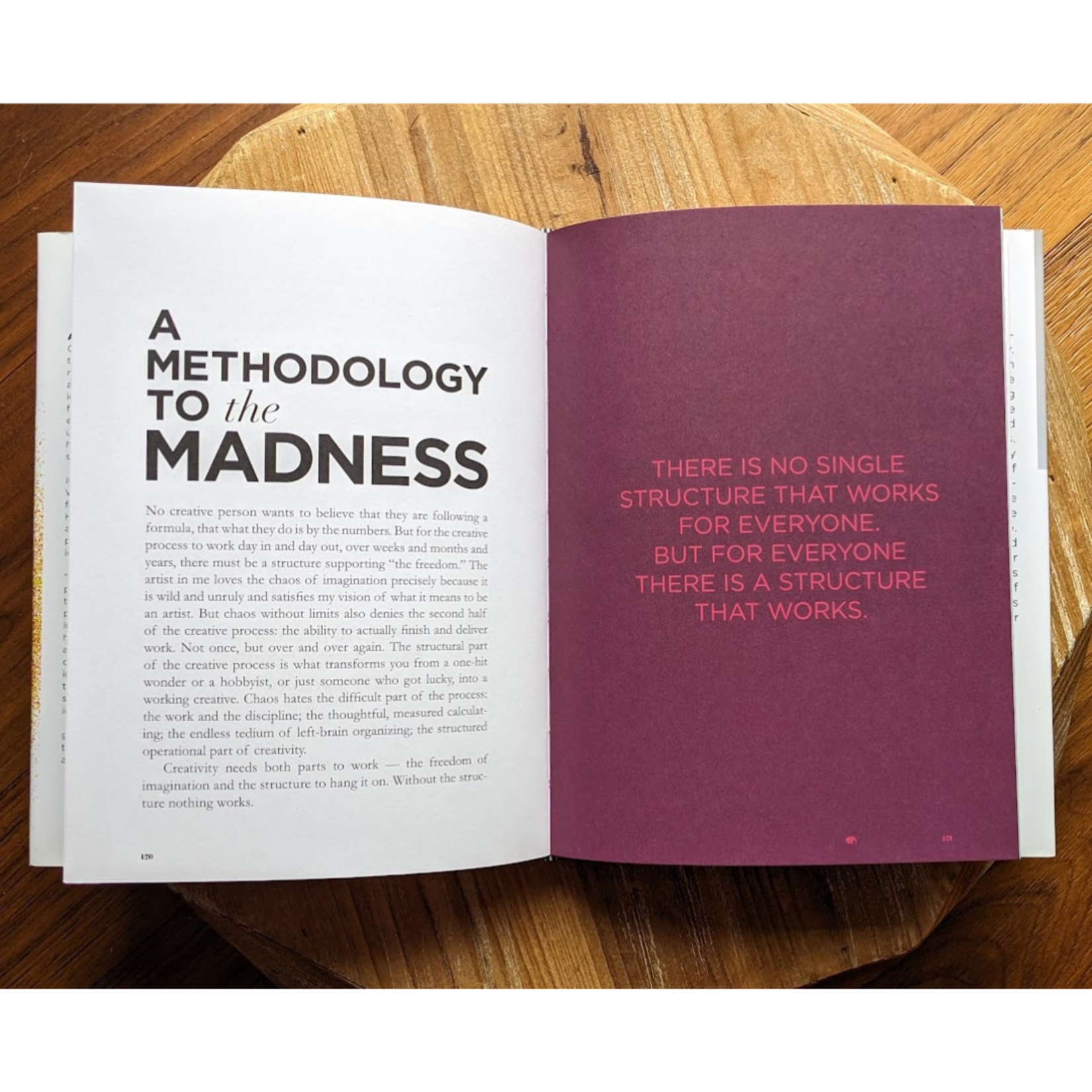 Elephant Run Book