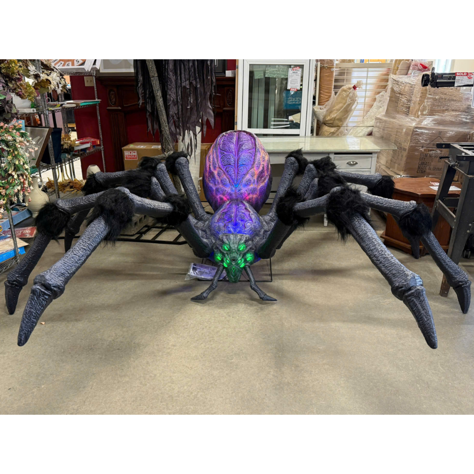 9.5' Gargantuan Spider