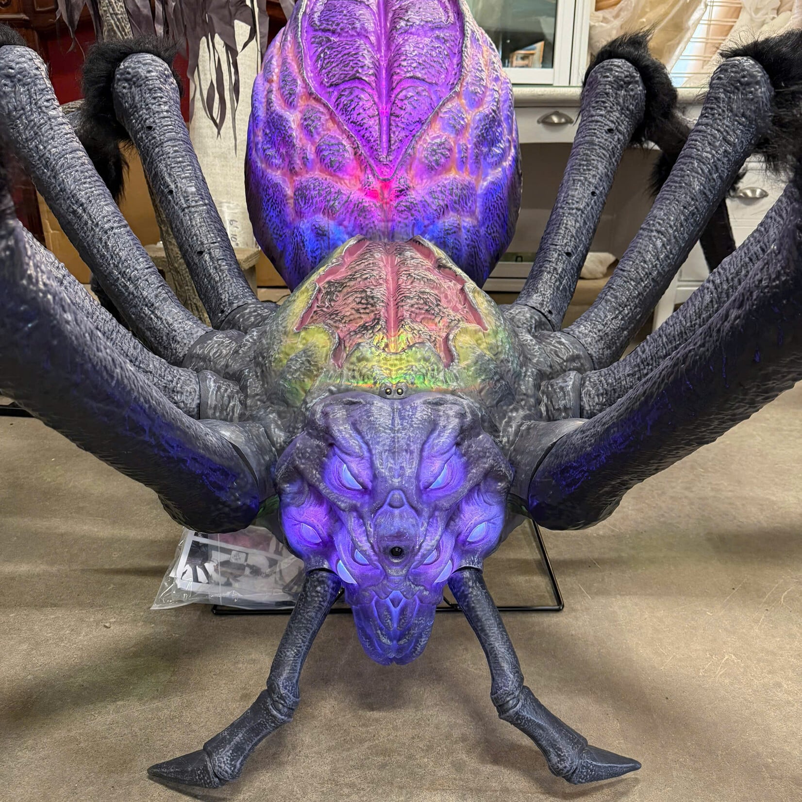 9.5' Gargantuan Spider