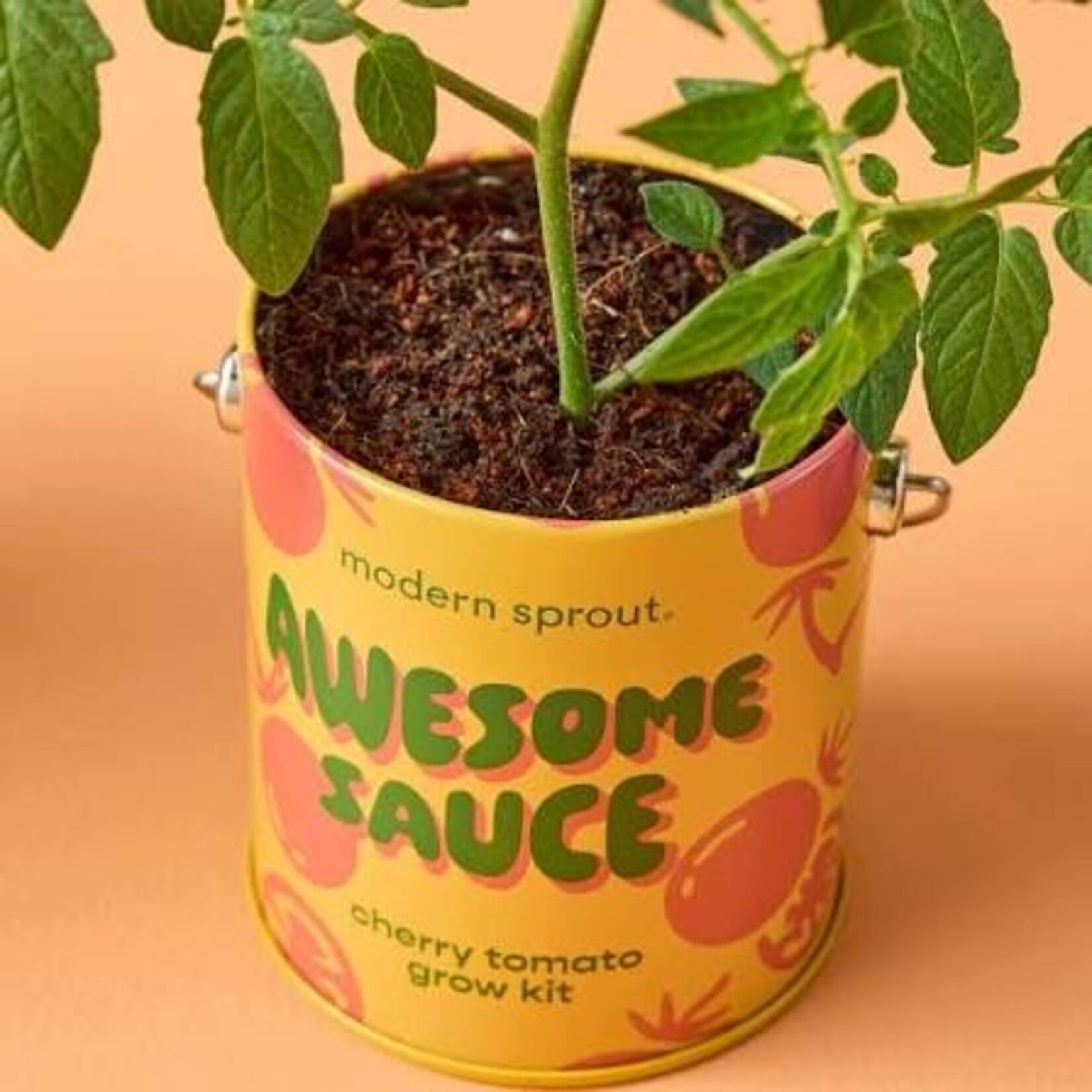 Cherry Tomato Kit