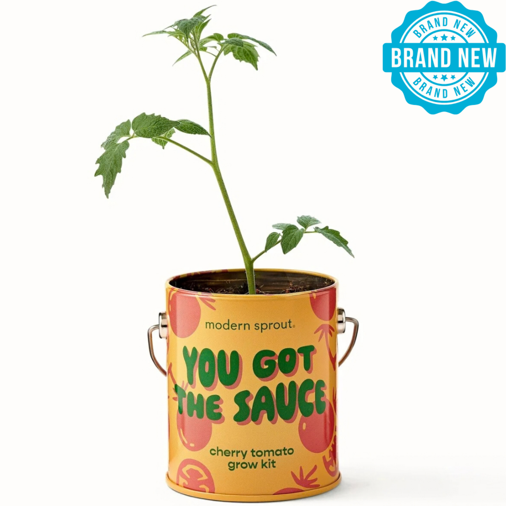 Cherry Tomato Kit