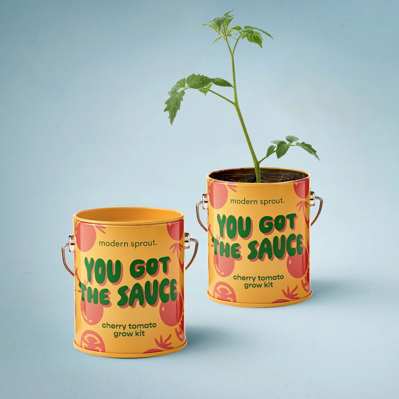 Cherry Tomato Kit