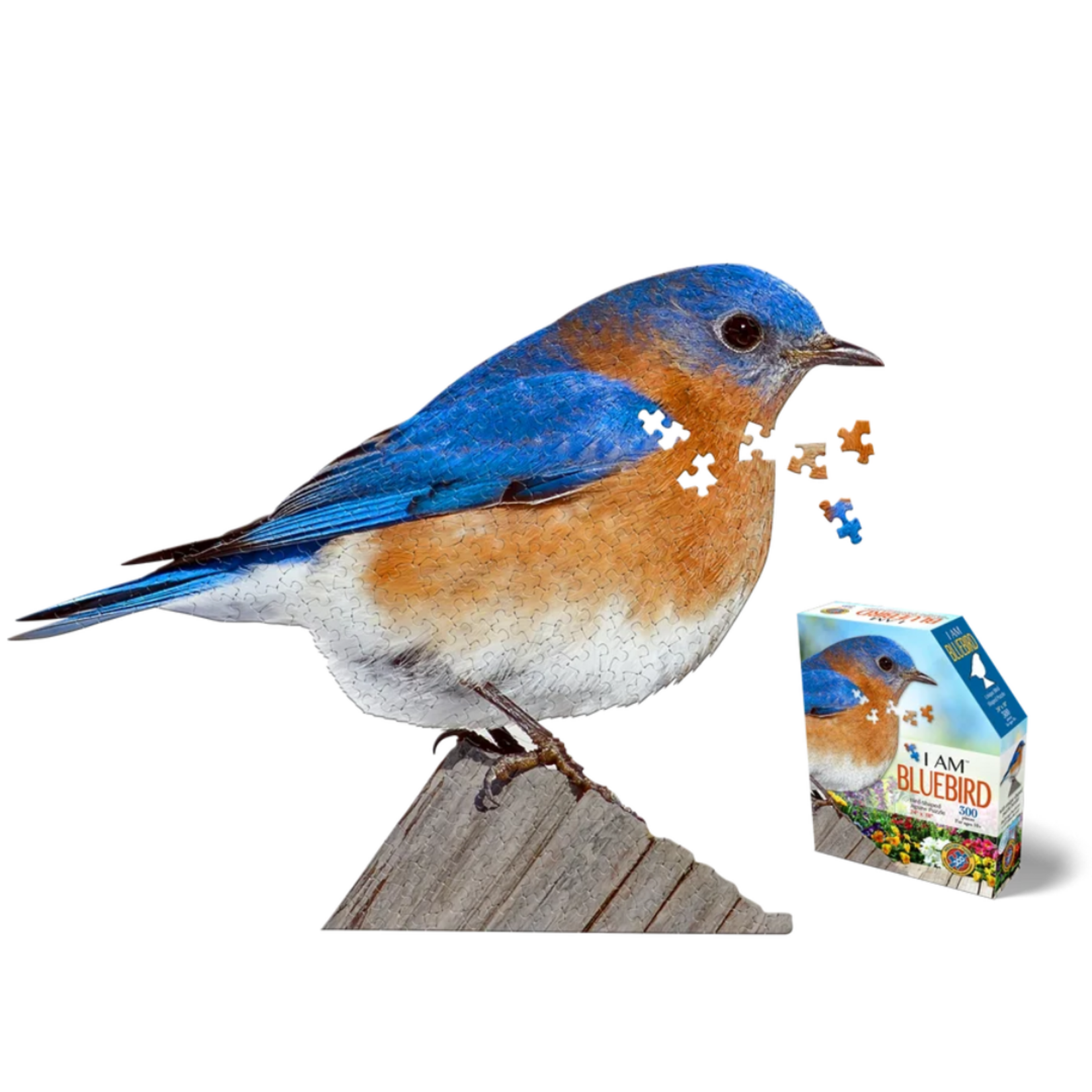 Puzzle (300 PC)
